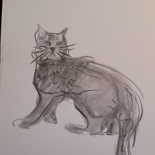Rysunek kotek